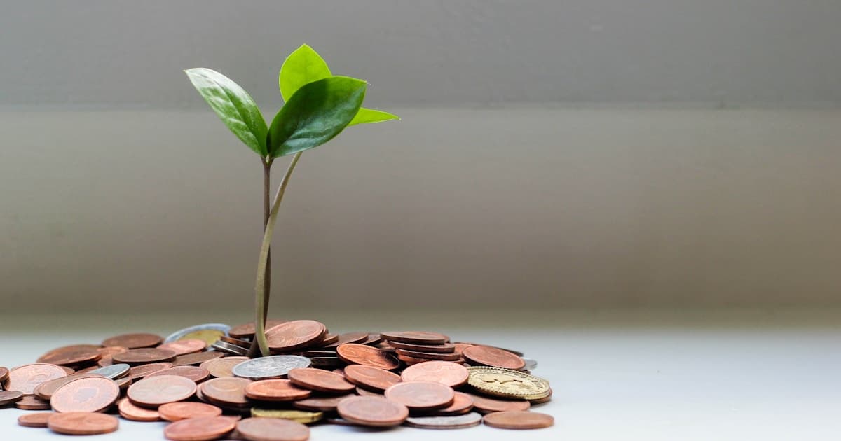 Building a Diversified Portfolio: A Step-by-Step Guide
