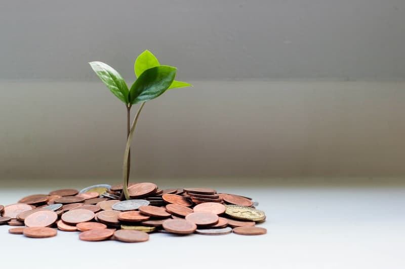 Emergency Fund vs. Investing: Where Should Your Money Go First?