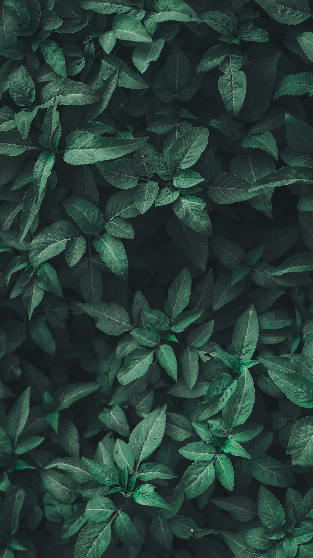 ESG Investing Explained: What It Is, What It Costs, and Whether It Works
