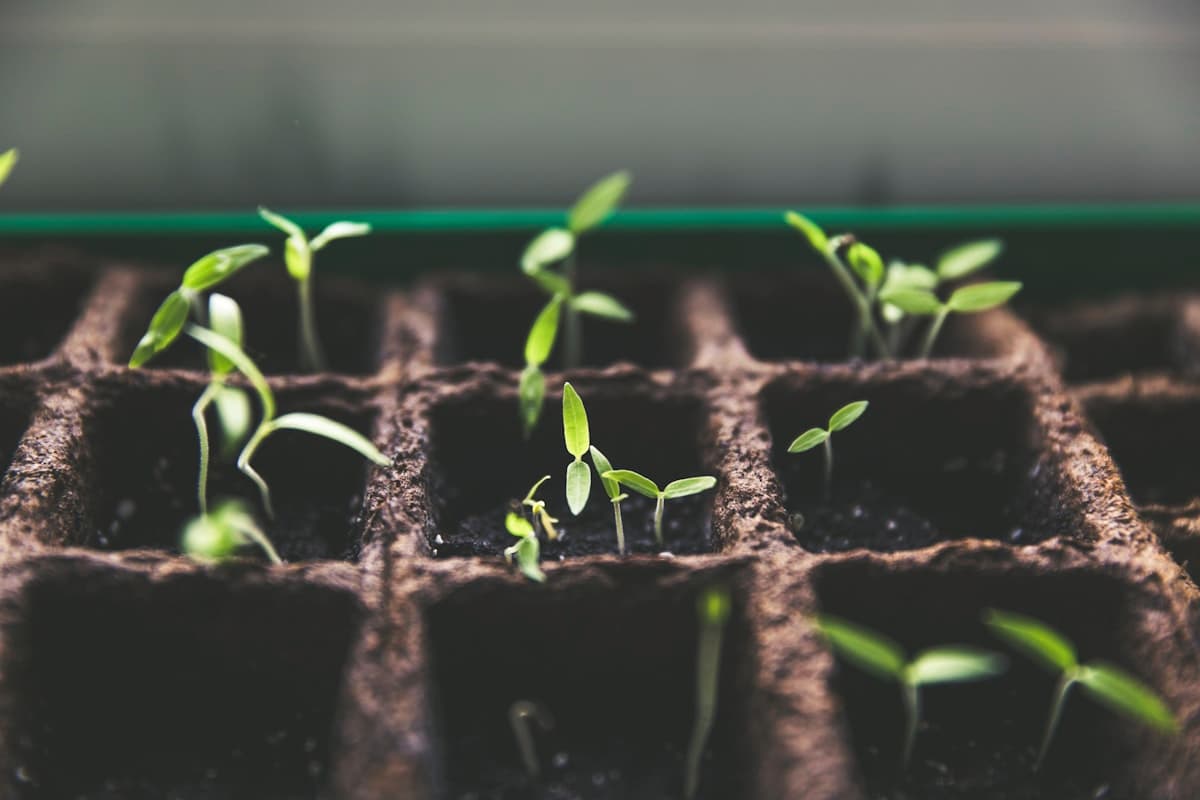 The Power of Compound Interest: Why Time Is Your Most Valuable Asset